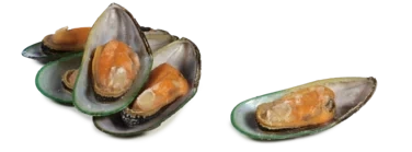 Grønnskjell Iqf, Halvskjell, 30-45 Pr kg