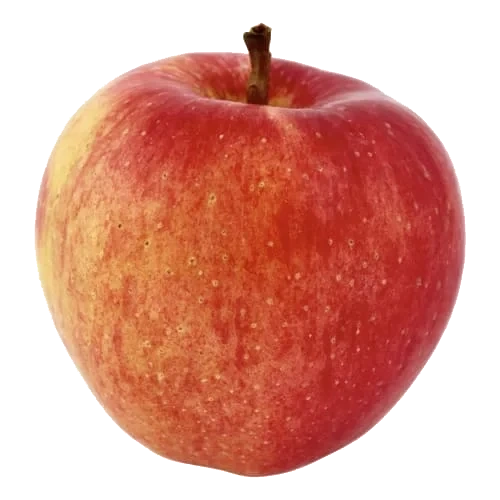Äpple Royal Gala Klass 1