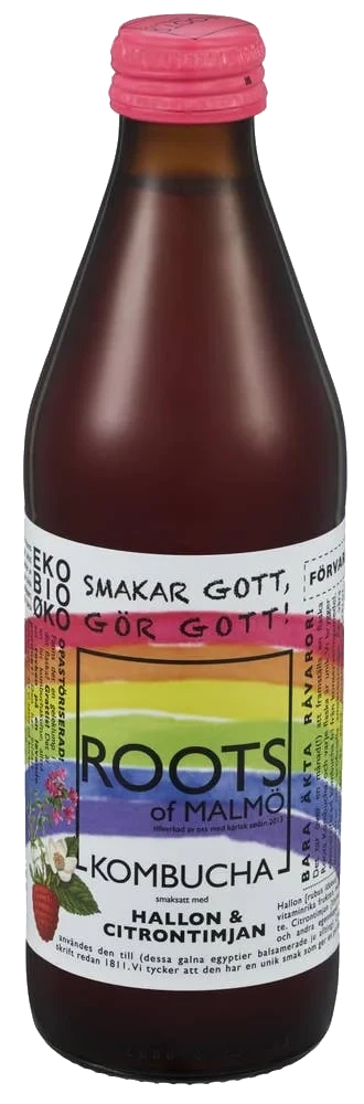 Økologisk kombucha