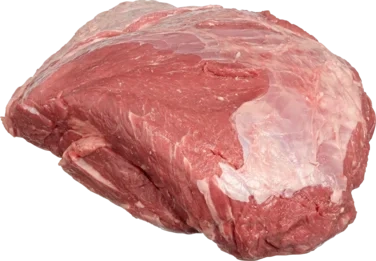 Ungfe Høyrygg u/Ben
