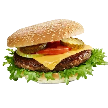 Hamburger Spesial 70g Slåtto