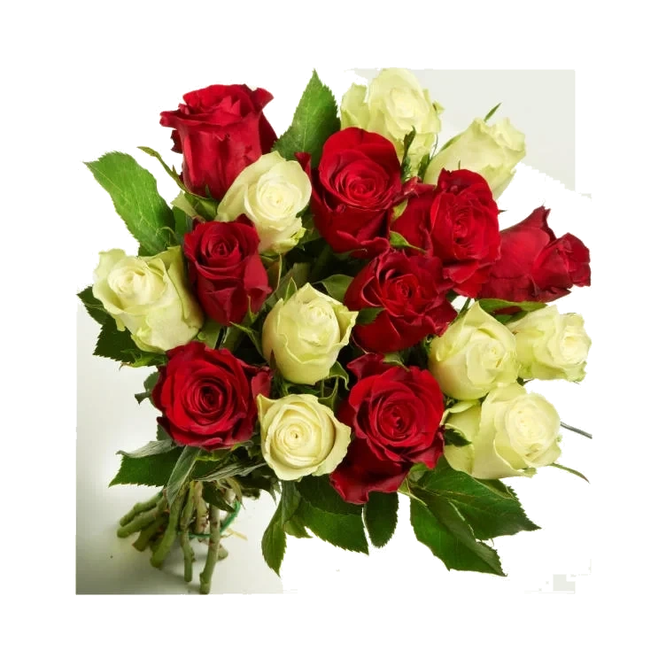 Roser 17pk Jul