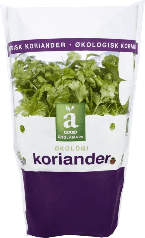 Änglamark Krydderurt Koriander 12cm