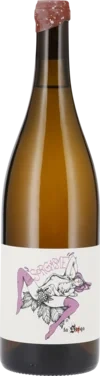 Sorgasme