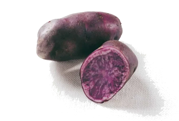 Blå Kongo Potet