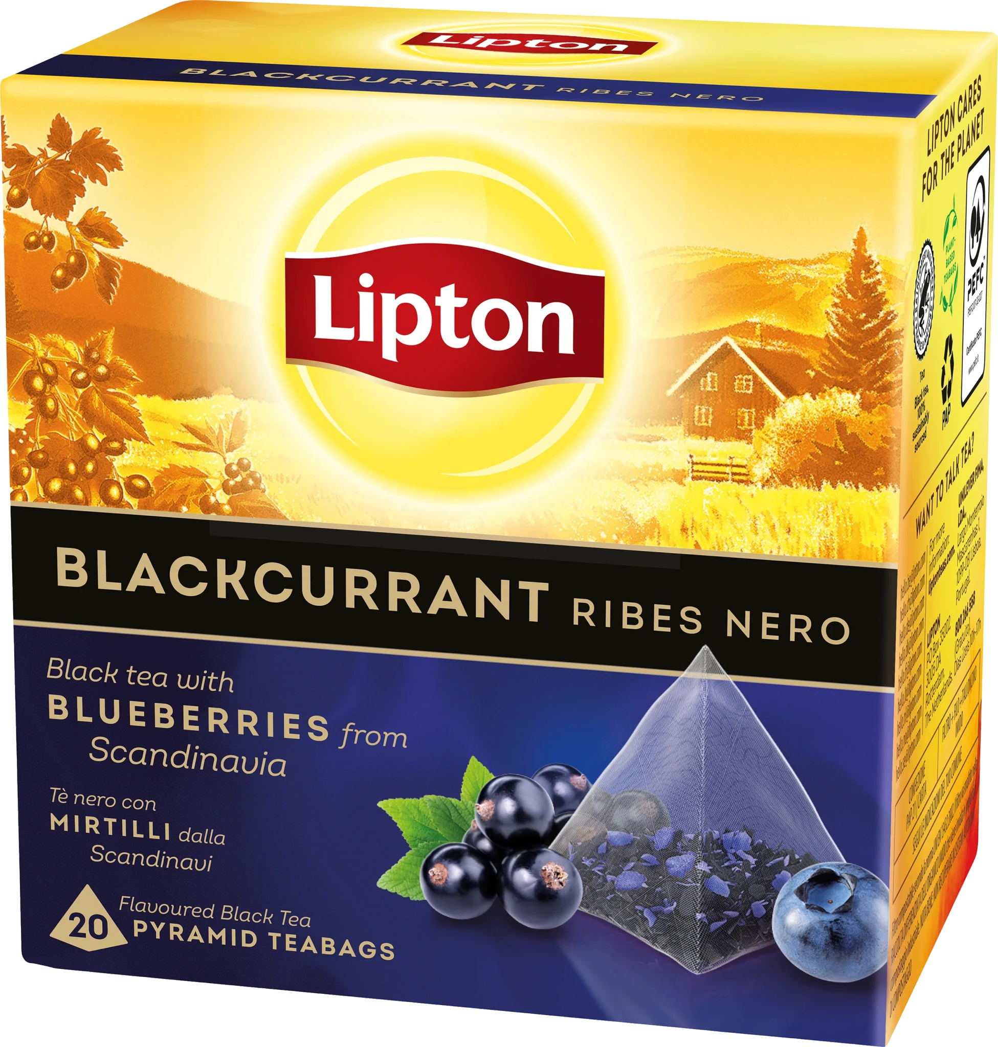 Svart te Blackcurrant 20-pack