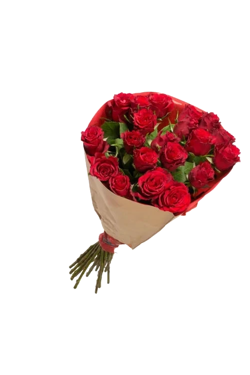 Roser 20pk 50cm Roser 20pk 50cm