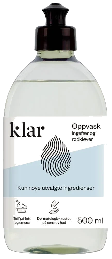 Hand Dishwash
