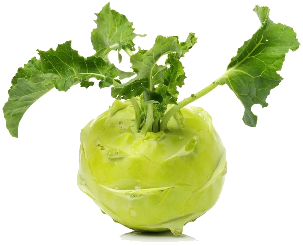 Knutekål