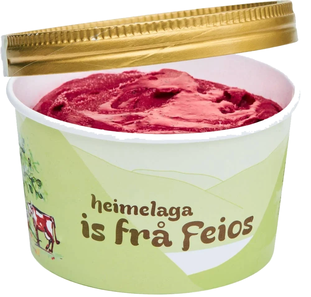 Økologisk yoghurtis blåbær