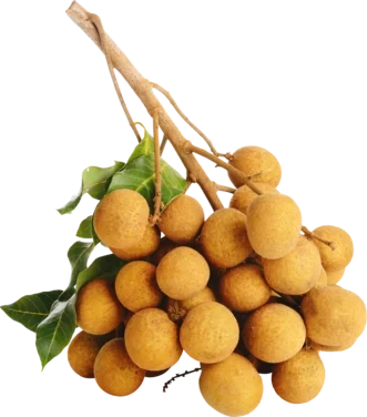 Longan 500g So Fresh