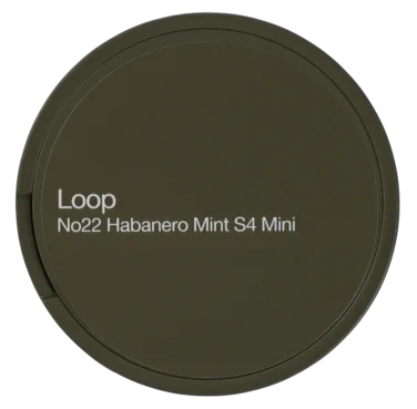 Loop No22 Habanero Mint S4 Mini All White 30 Portions 15g