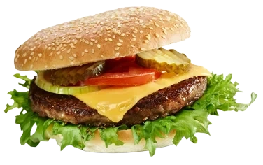Slåtto Hamburger 60g