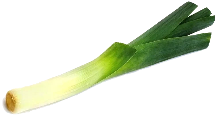 Purreløk