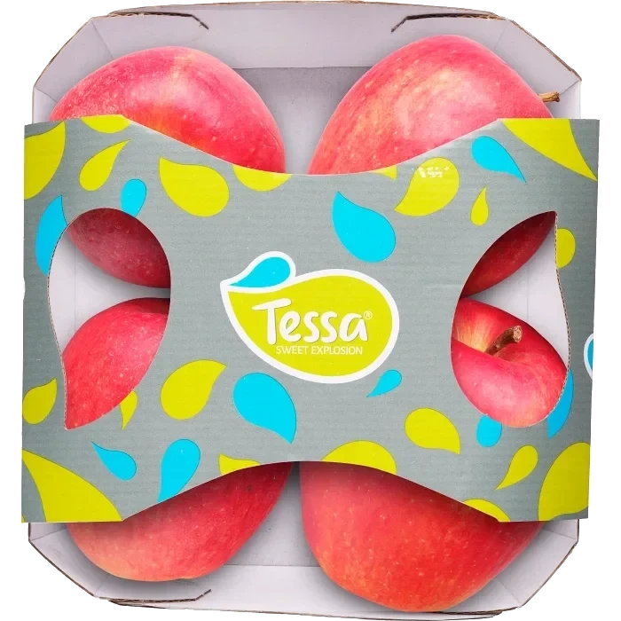 Äpple Tessa 4-pack Klass 1