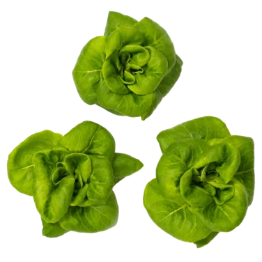 Baby Butter Løsvekt Spiseklar Salat 1.3kg Onna