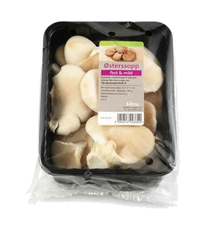 Østerssopp 300g