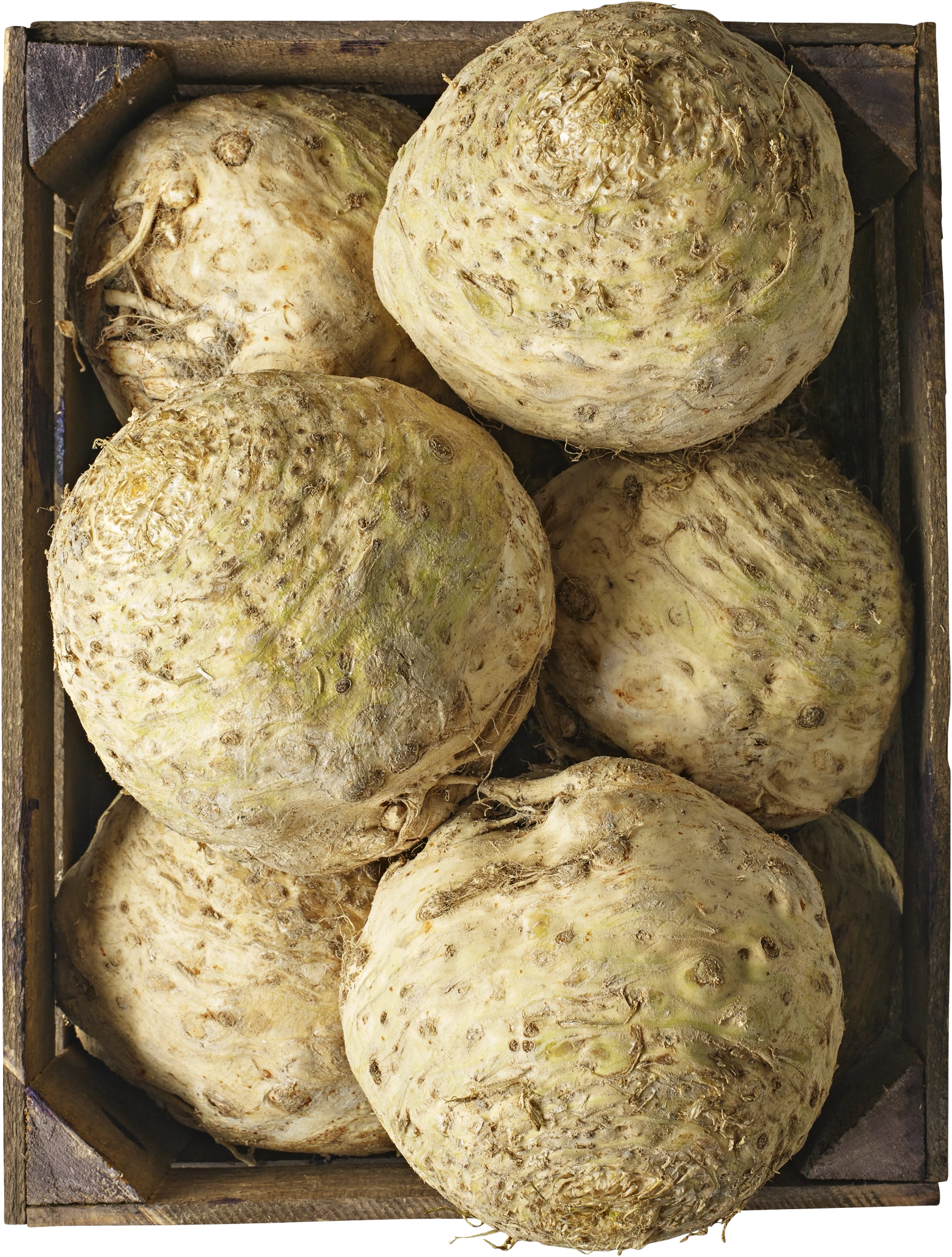 Rotselleri