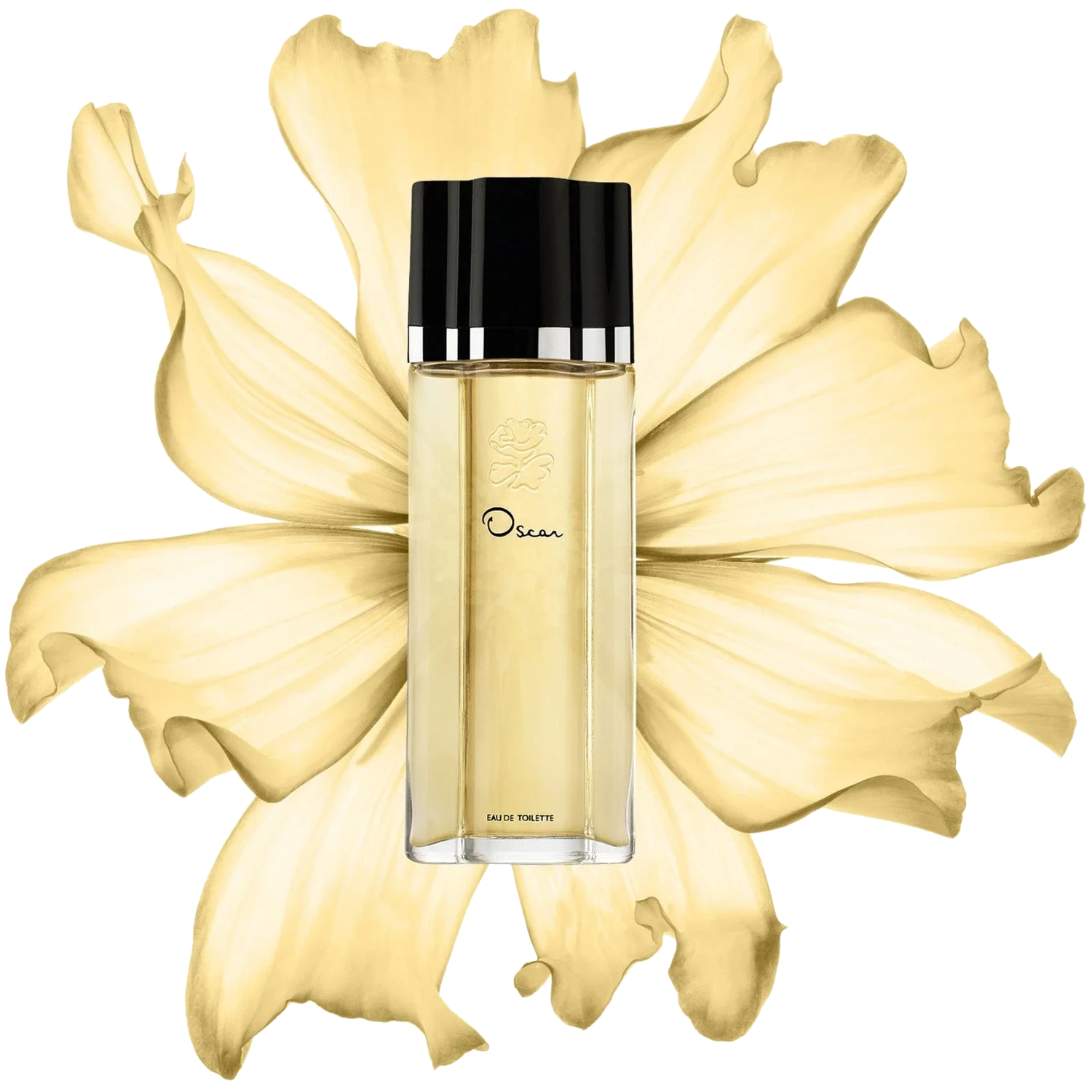 Oscar De La Renta Signature