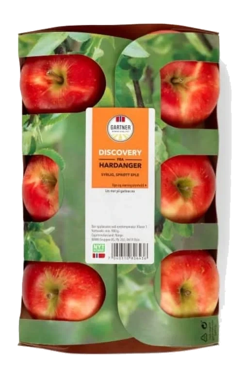 Epler Discovery Gartner