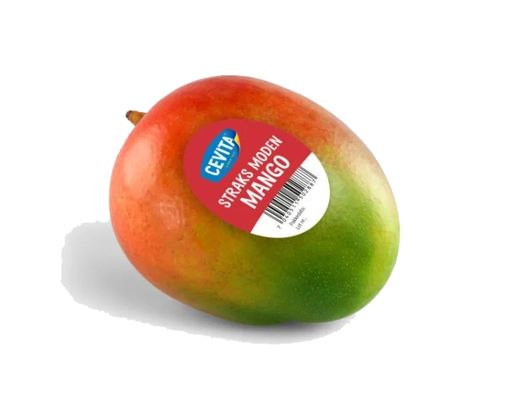 Mango stykk Cevita