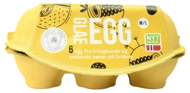 6 Glade Egg Fra Smilande Høner Fra Sviland