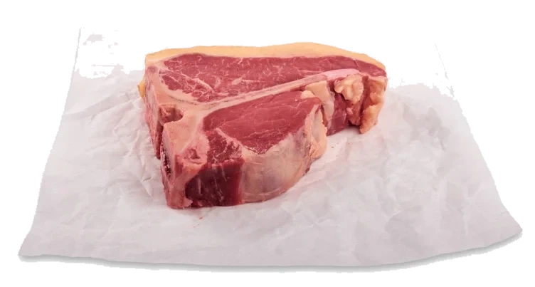 T-Bone Angus kvige