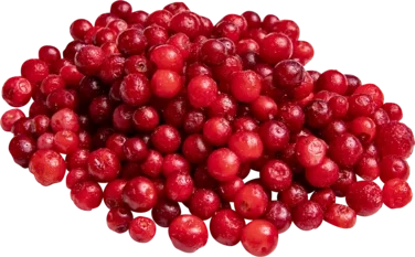 Tyttebær 5x1 kg 1kg Findus