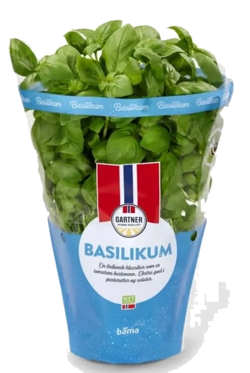 Urte Basilikum Stor