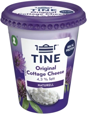 Cottage Cheese 400g Tine