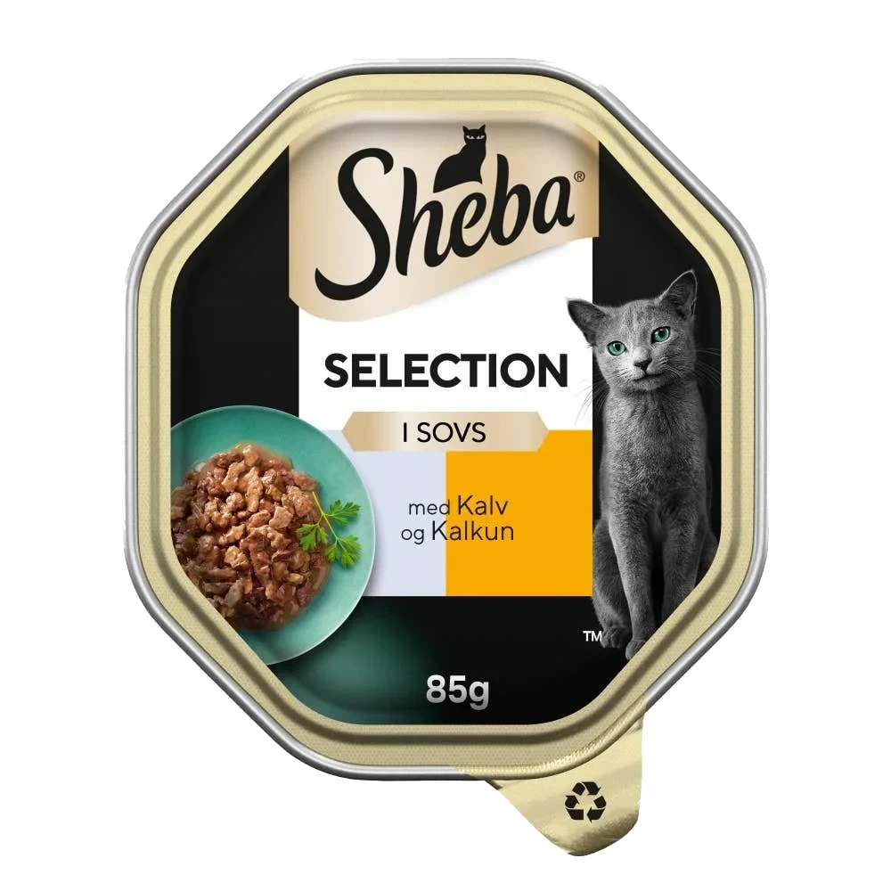 Selection våtfôr til katter i skål med kalkun i saus
