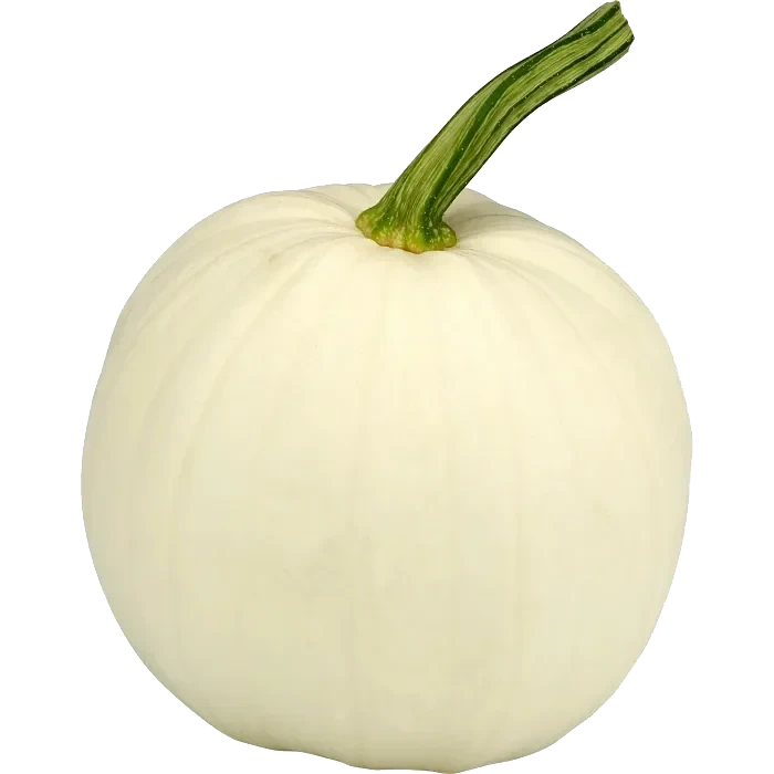 Pumpa vit 1 pack Klass 1 ICA