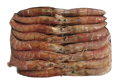 Kongereker Rå Argentin 2kg Galaustral