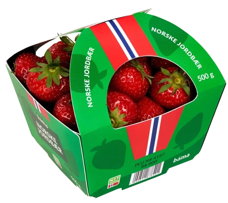 Jordbær Norsk 500g
