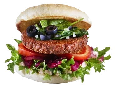 Blackbean Vegetar Burger 90g Slåtto