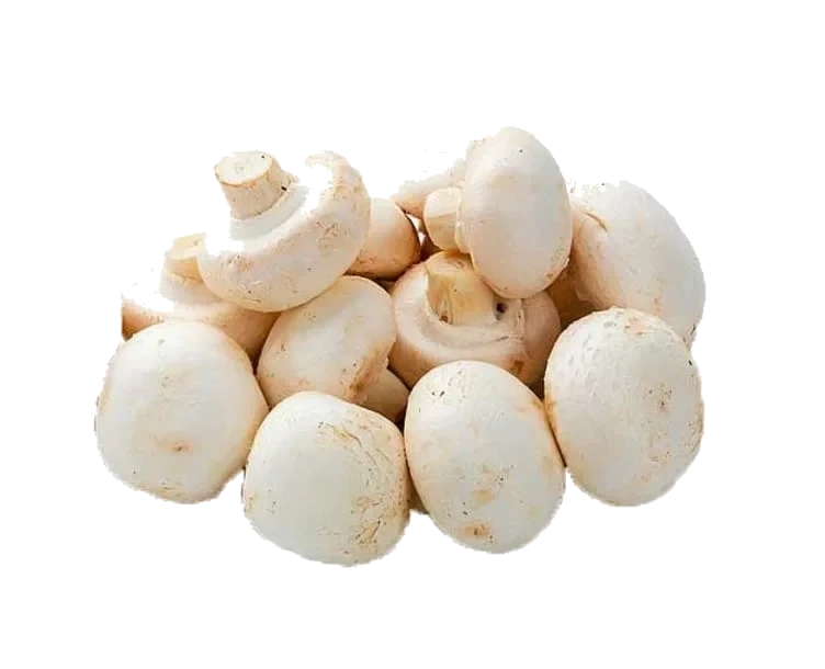 Champignon Bama