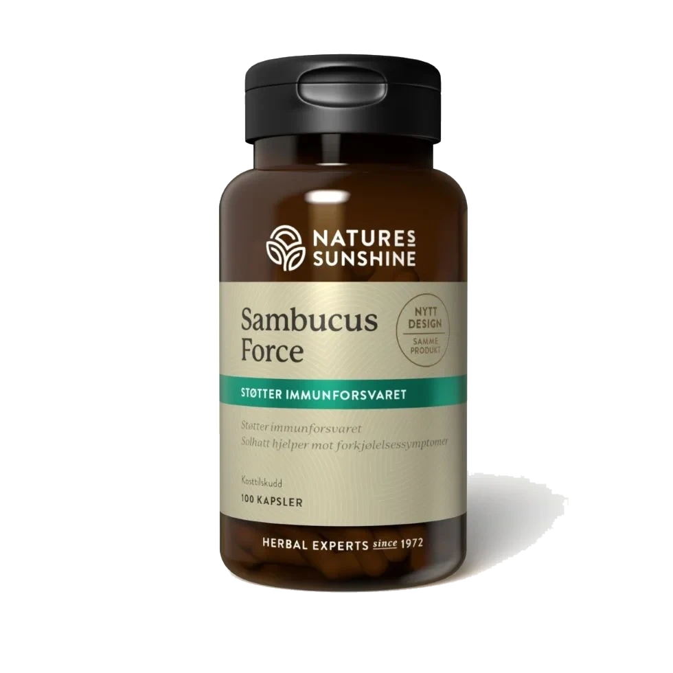 Sambucus Force (svarthyllbær og solhatt)