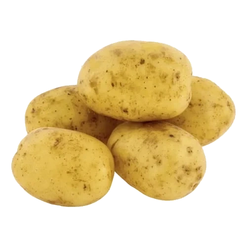 Färskpotatis Tvättad Klass 1