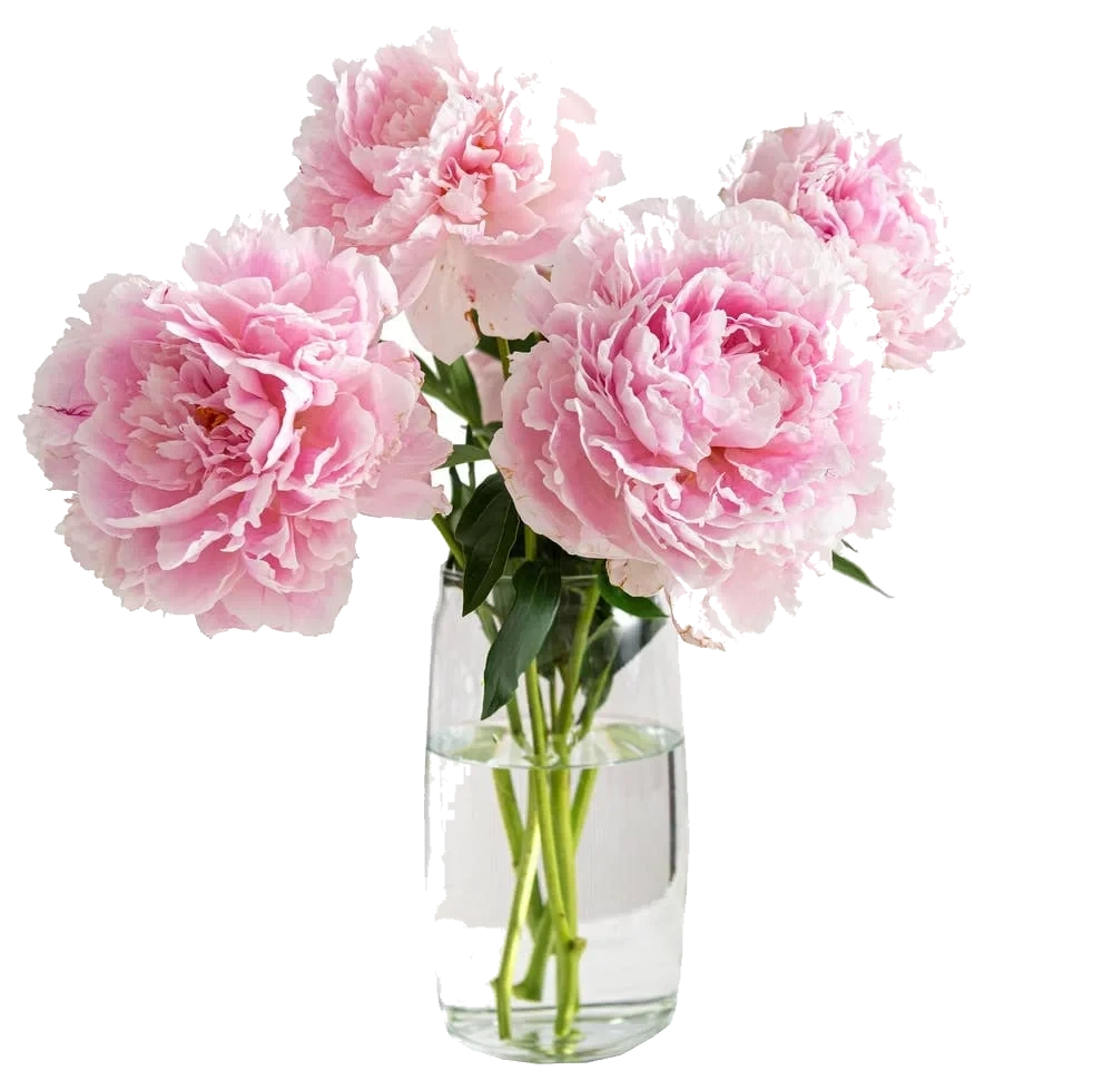Rosa Peoner