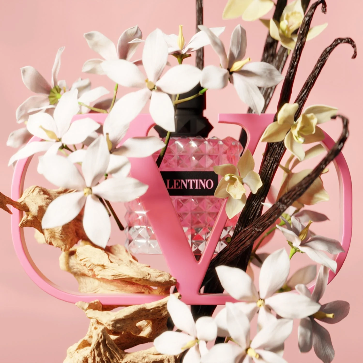 Valentino Born in Roma Donna