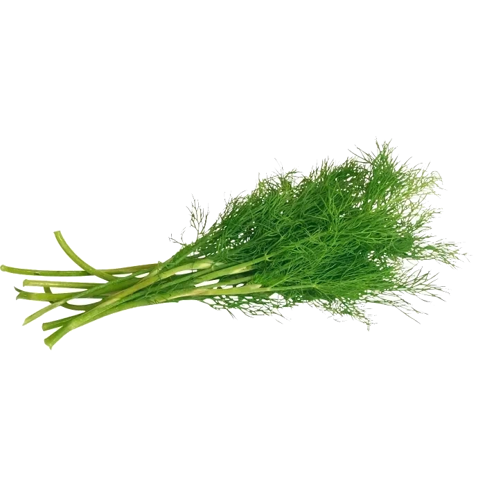 Dill i knippe ca 40g Klass 1 ICA