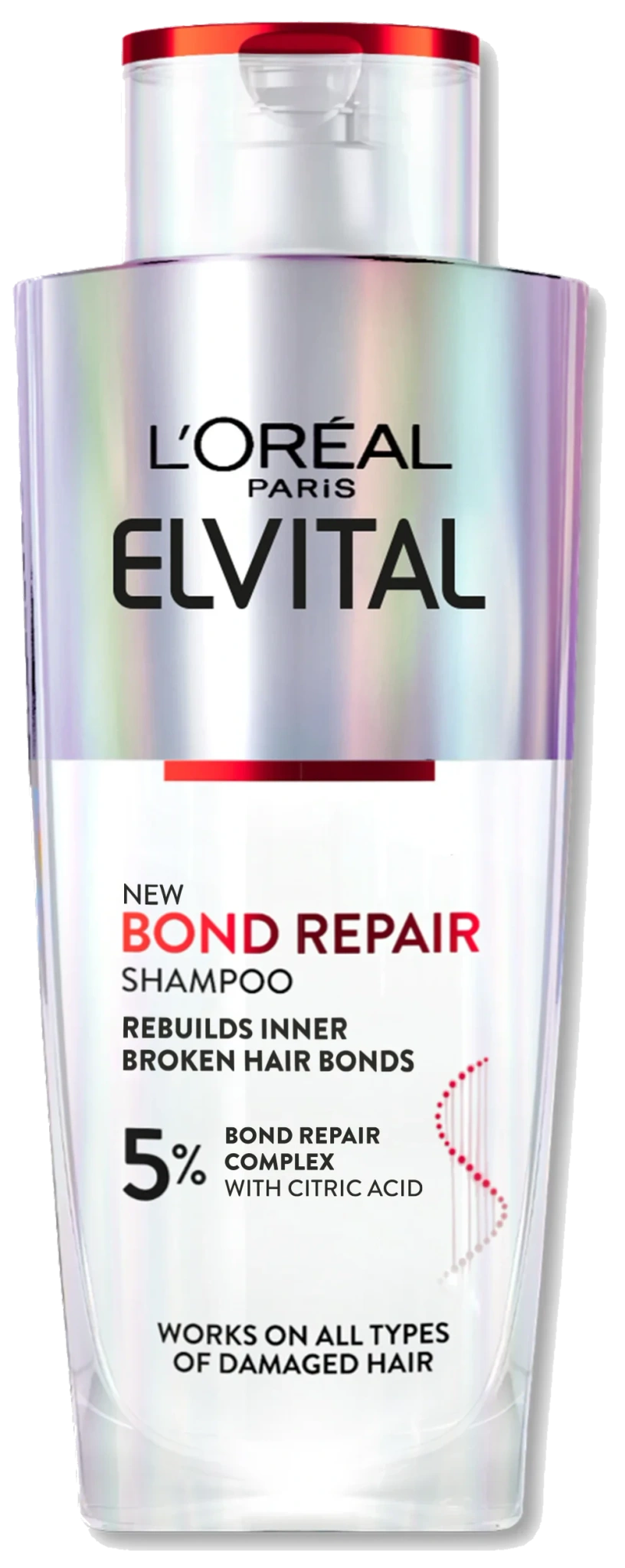 Schampo Bond repair