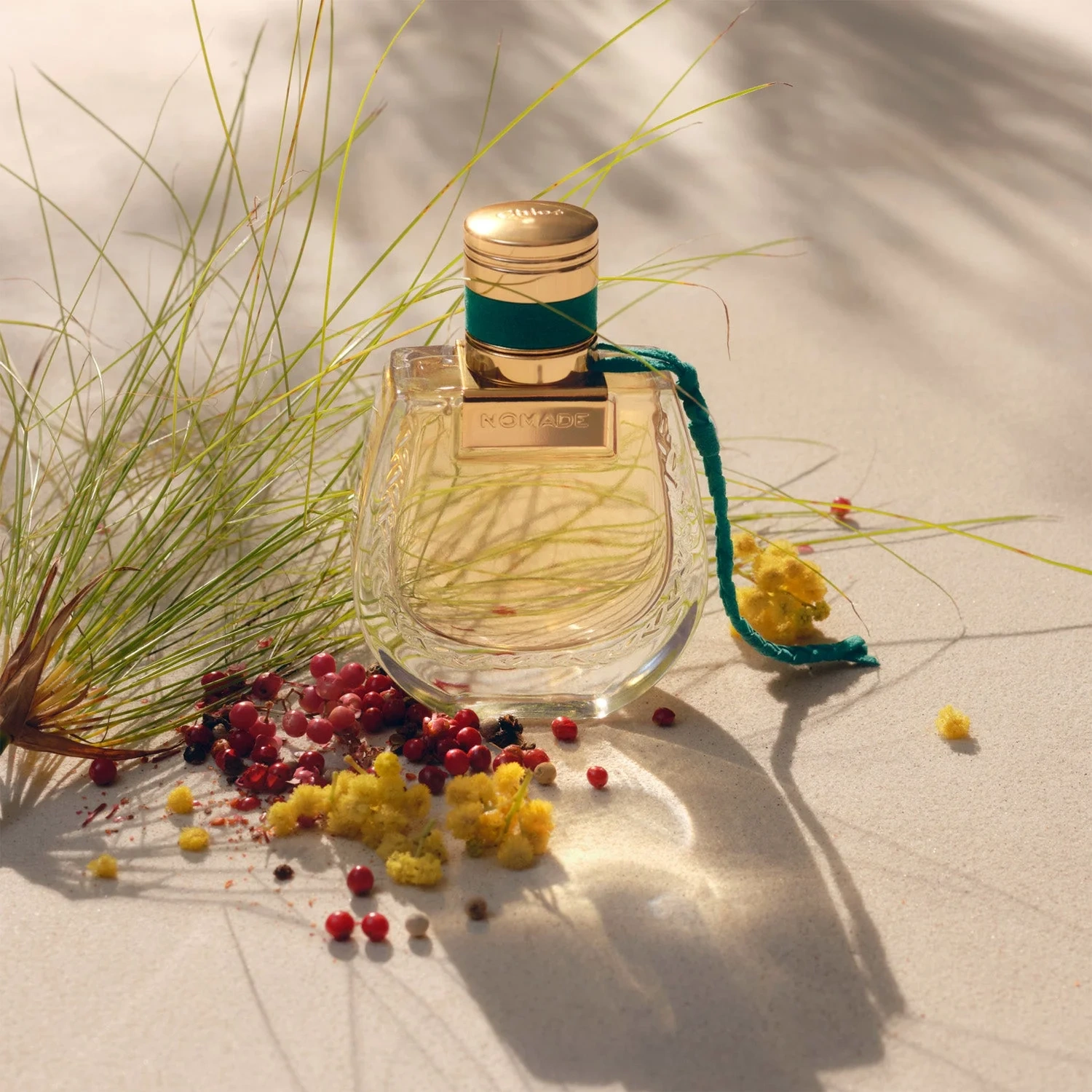 Chloé Nomade Jardin d'Égypte