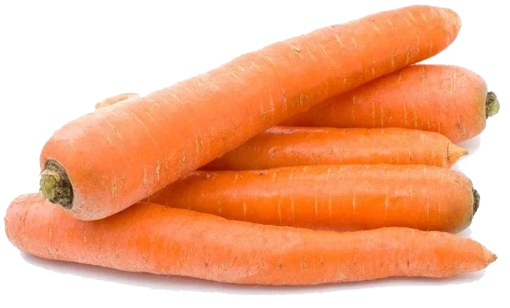 Økologiske Gulrøtter