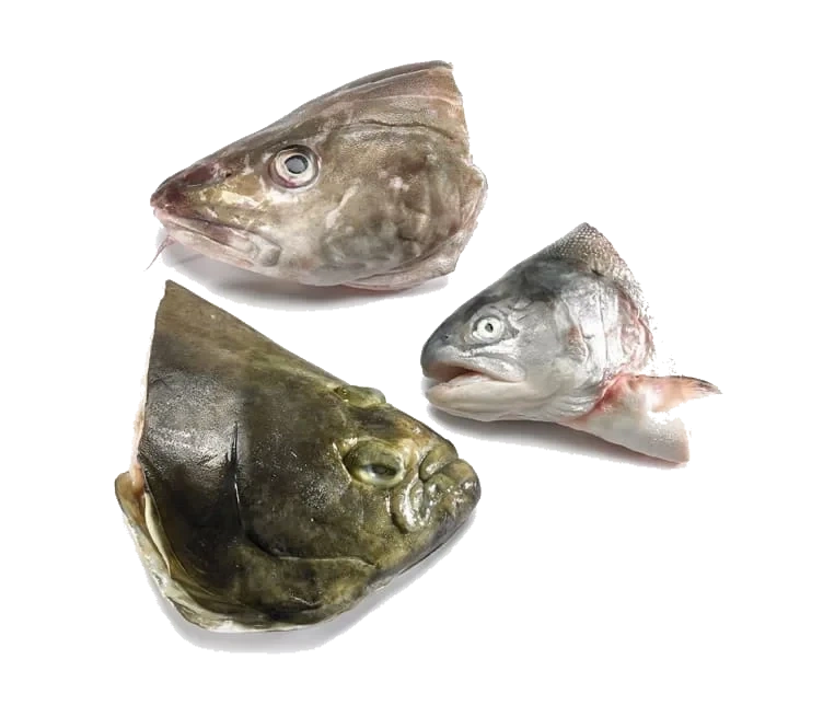 Fiskehoder pr Kg