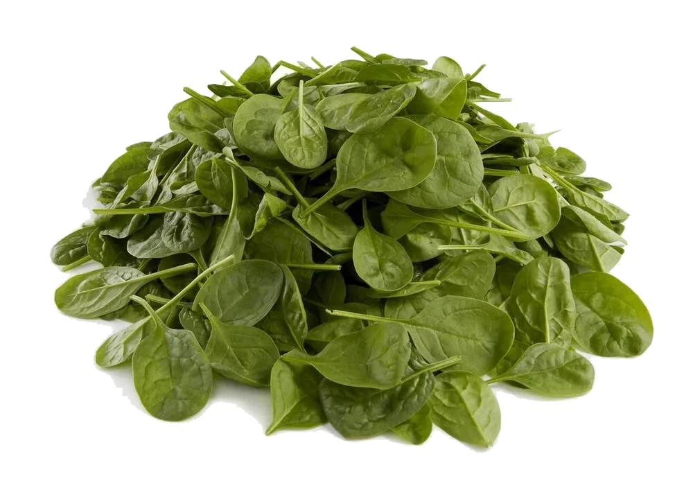 Økologisk Spinat