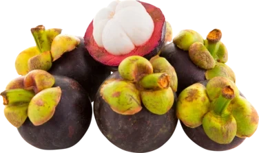 Mangosteen 500g So Fresh