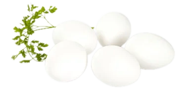 Egg ml Frittgående Høns 4 Brett