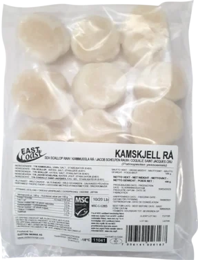 Kamskjell 10/20