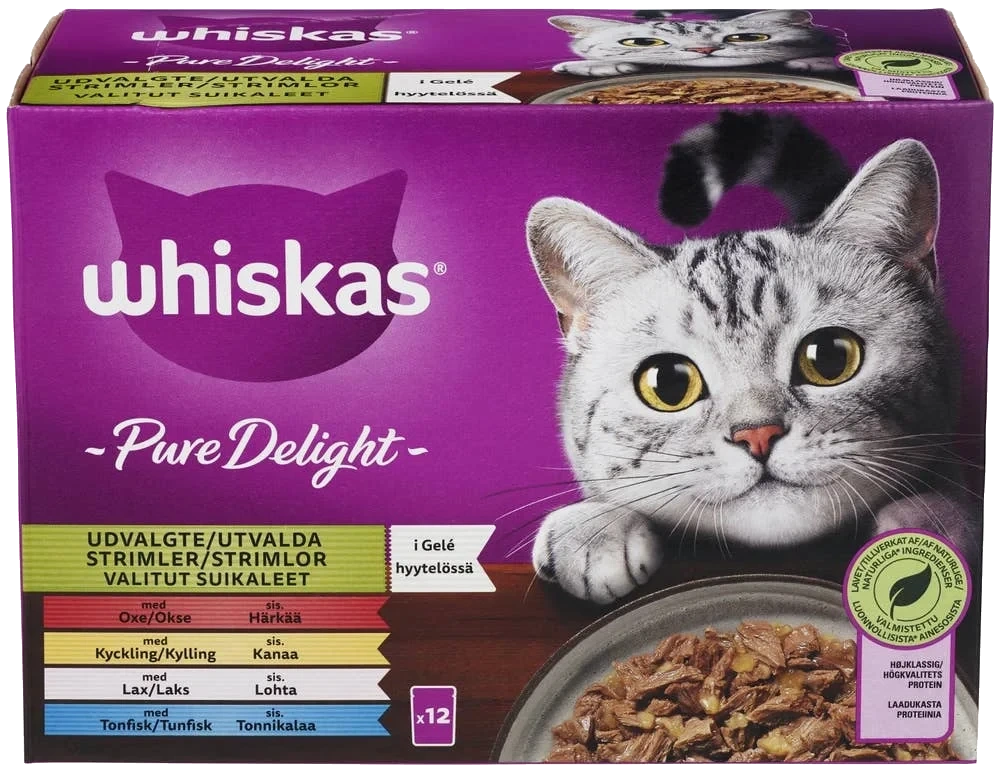 Pure Delight Mixed Selection